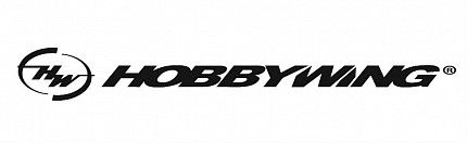 Поступление Hobbywing