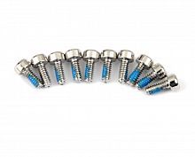 Cap screw M1.6X4 (10) NL