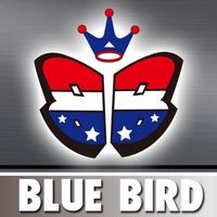 BlueBird Model